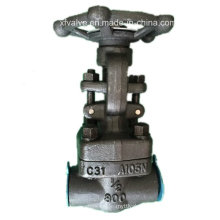 API602 800lb Forged Steel A105 Thread End NPT Gate Valve